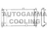 AUTOGAMMA 100661 Radiator, engine cooling